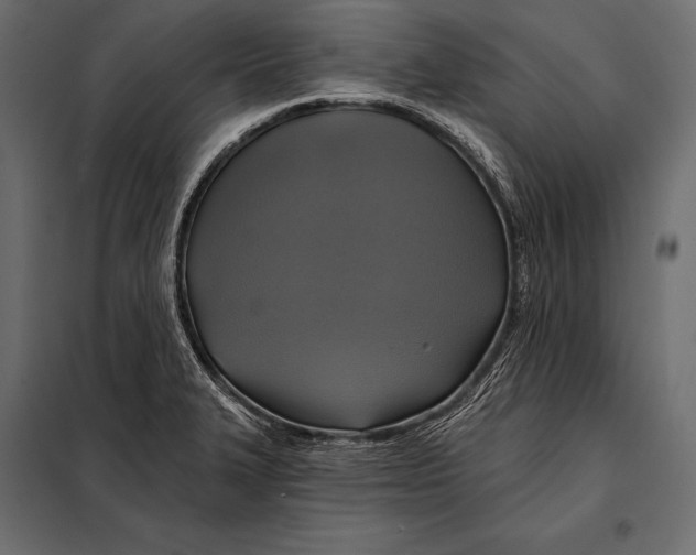 X0000098071327200804251429