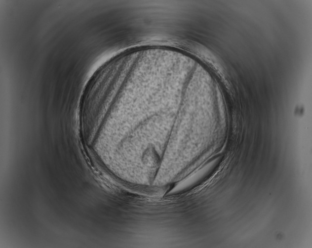 X0000098071328200804251429