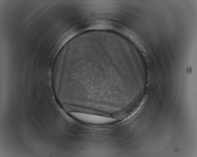 X0000098071329200804251429