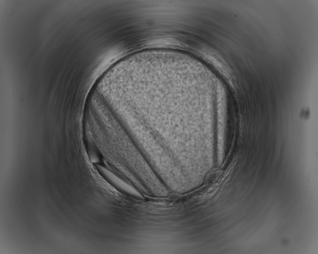 X0000098071330200804251429