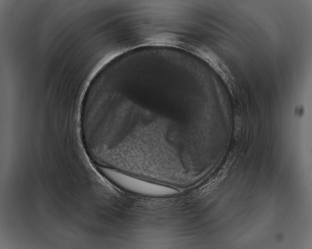 X0000098071331200804251429