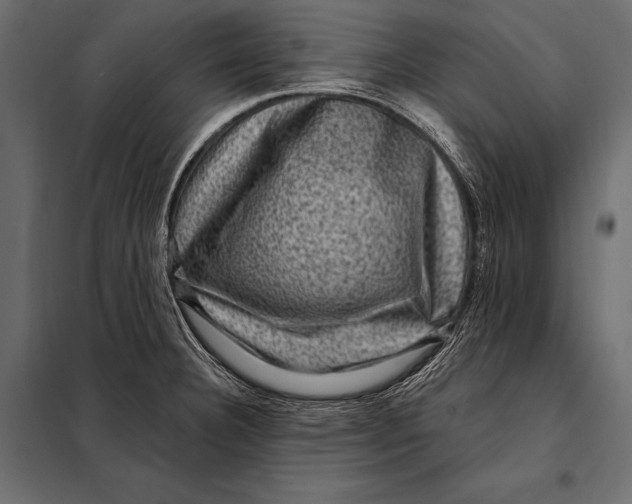 X0000098071332200804251429