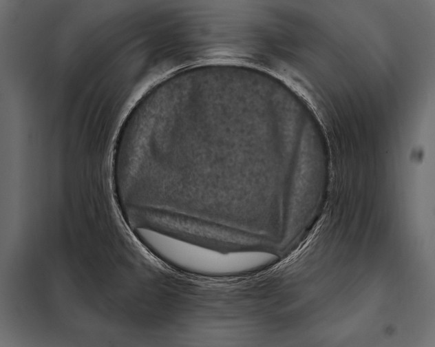 X0000098071333200804251429