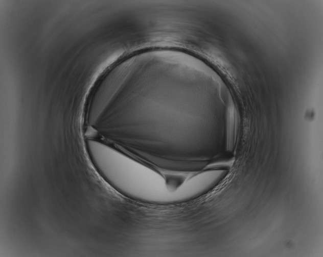 X0000098071334200804251429