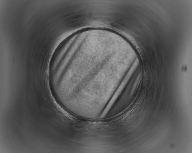 X0000098071335200804251429