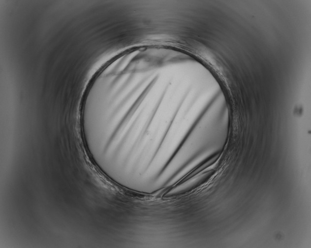 X0000098071336200804251429