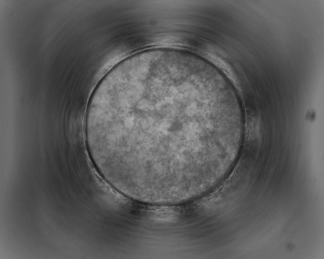 X0000098071338200804251429