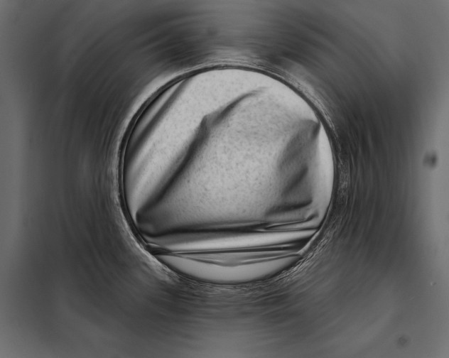 X0000098071339200804251429