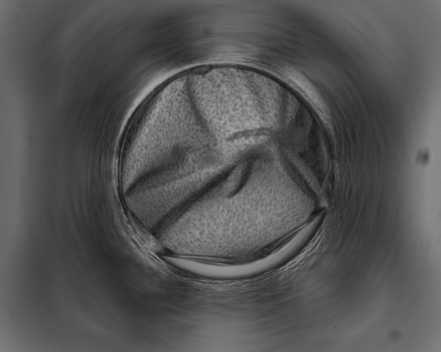 X0000098071340200804251429