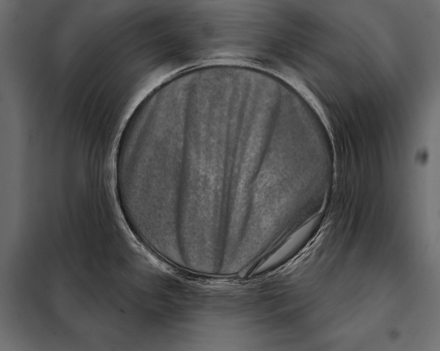 X0000098071341200804251429