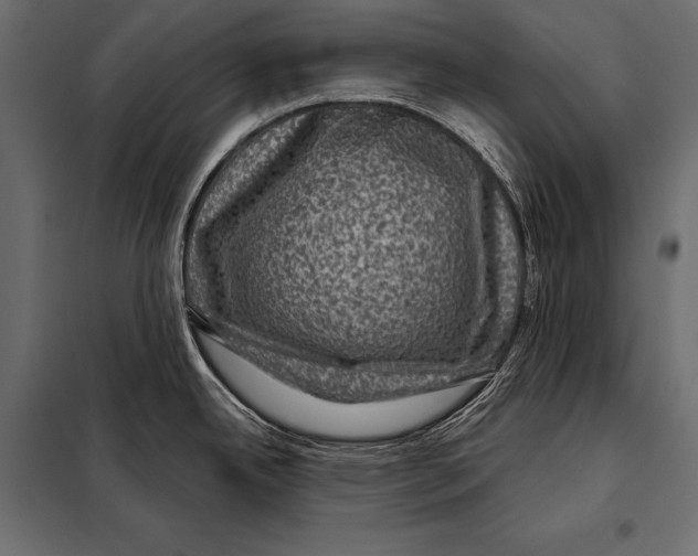 X0000098071342200804251429