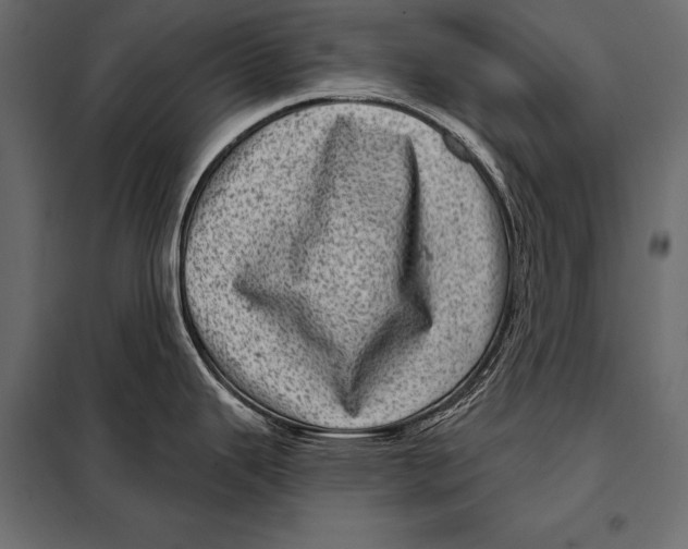 X0000098071343200804251429