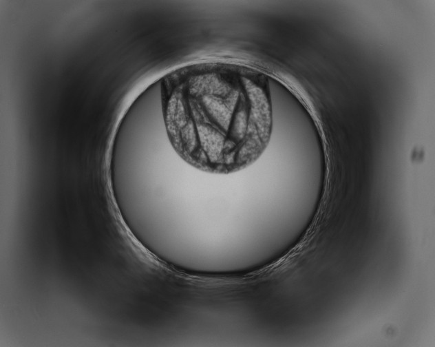 X0000098071344200804251429