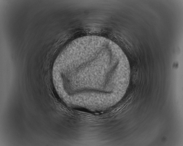 X0000098071345200804251429