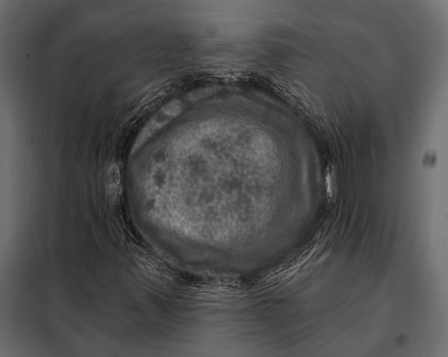 X0000098071347200804251429