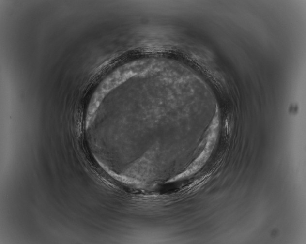 X0000098071348200804251429