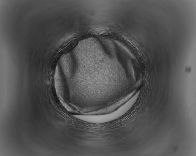 X0000098071349200804251428