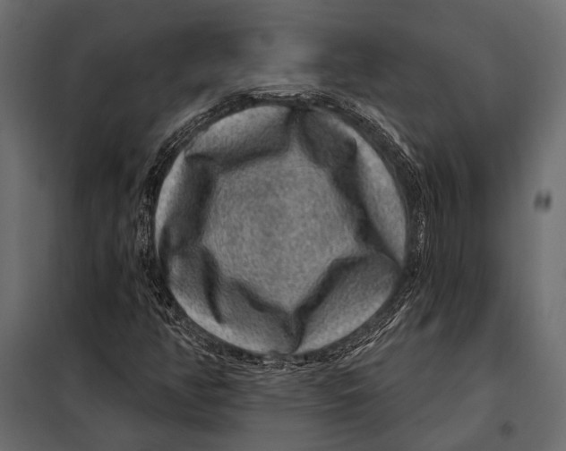 X0000098071350200804251428