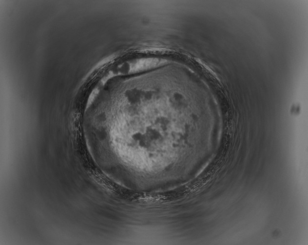 X0000098071351200804251428