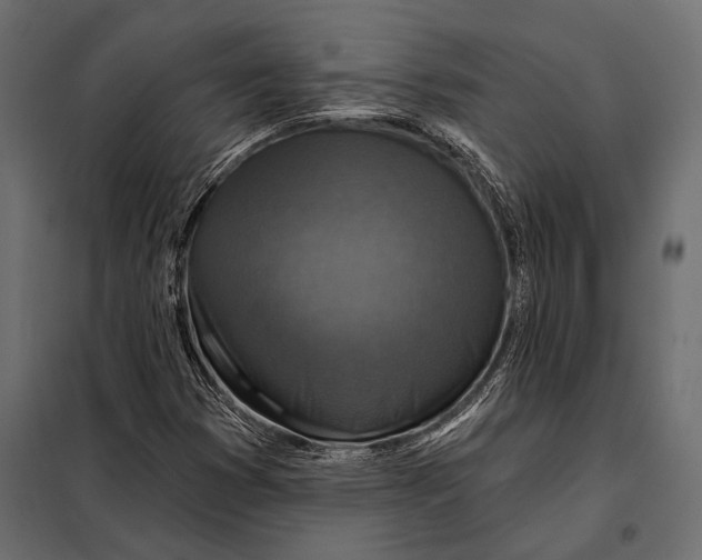 X0000098071353200804251428