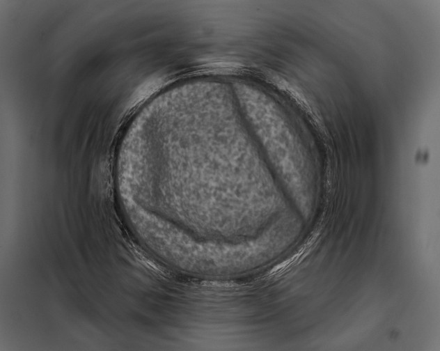 X0000098071354200804251428