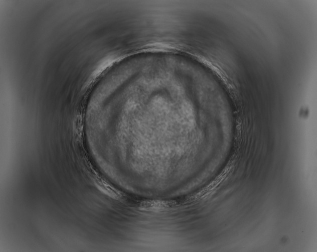 X0000098071355200804251428