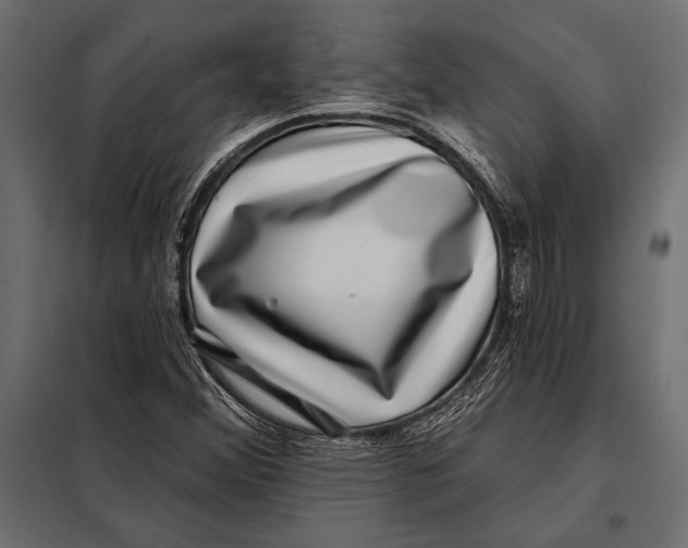 X0000098071356200804251428