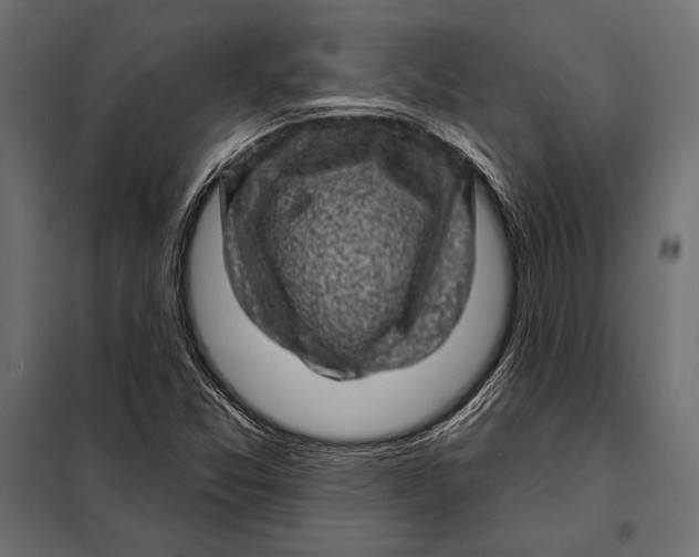 X0000098071357200804251428