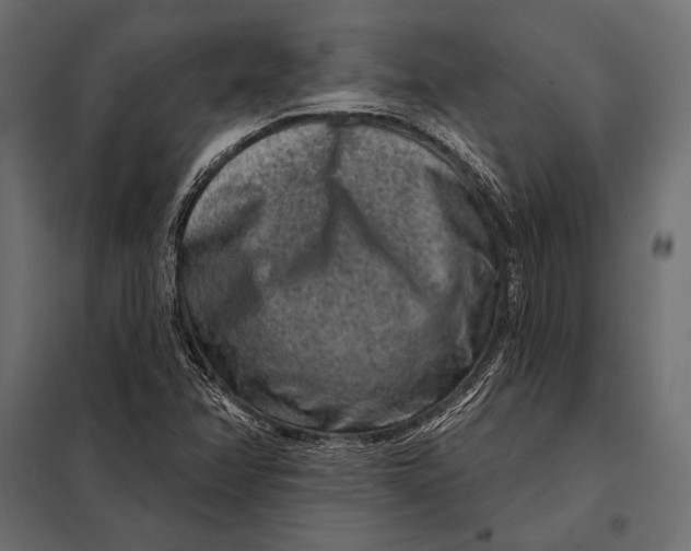 X0000098071358200804251428