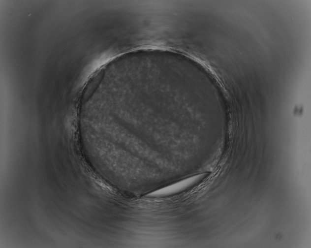 X0000098071359200804251428