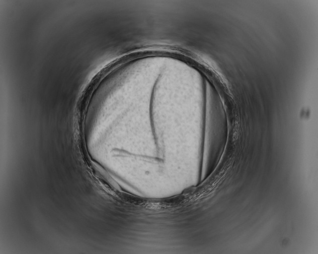 X0000098071360200804251428