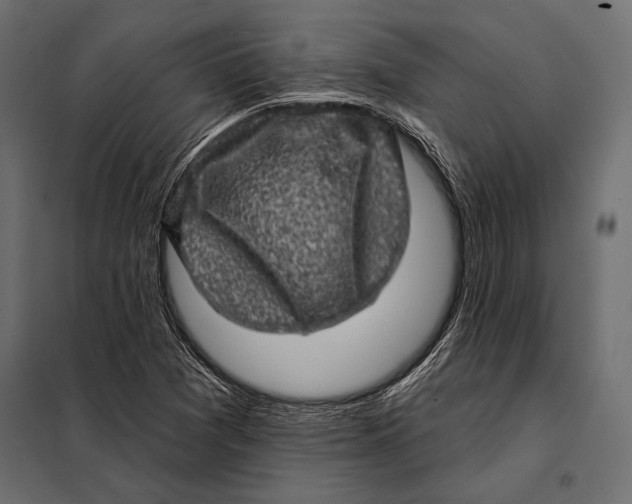 X0000098071361200804251428