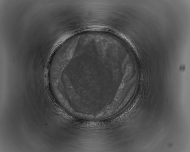 X0000098071362200804251428