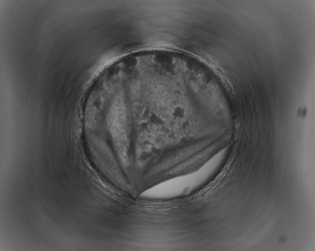 X0000098071363200804251428