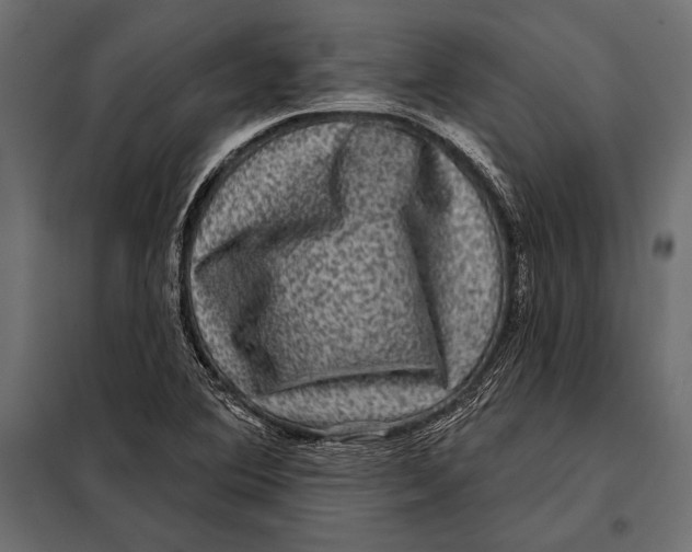 X0000098071364200804251428