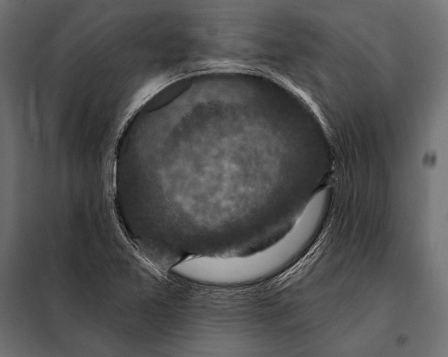 X0000098071365200804251428