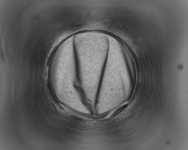 X0000098071366200804251428