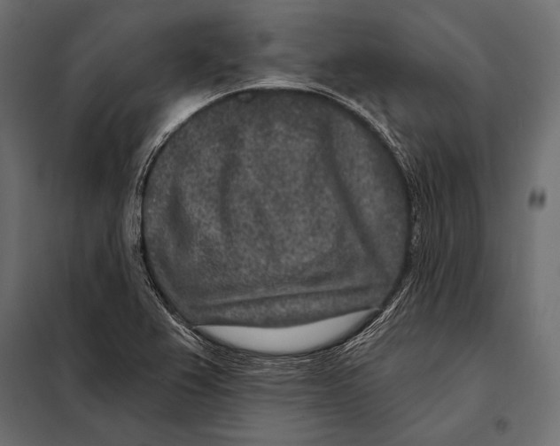 X0000098071367200804251428