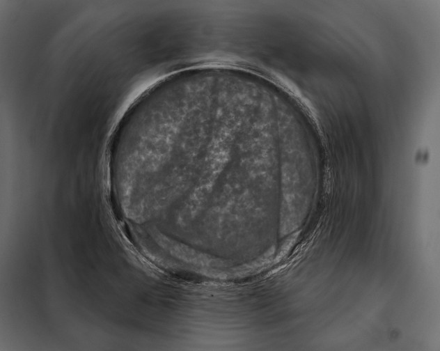 X0000098071368200804251428