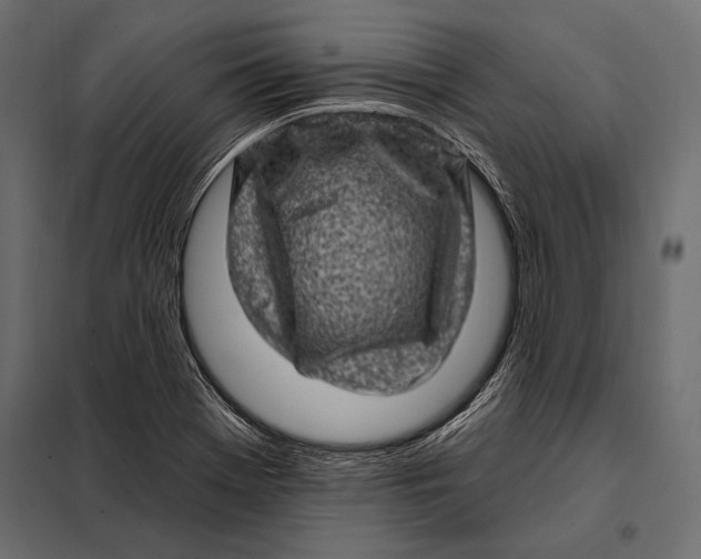 X0000098071369200804251428