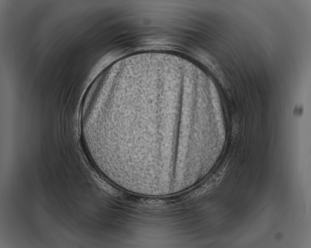 X0000098071370200804251428