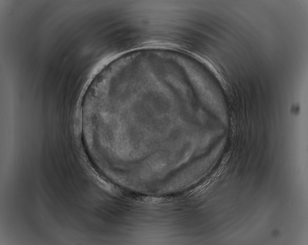 X0000098071371200804251428