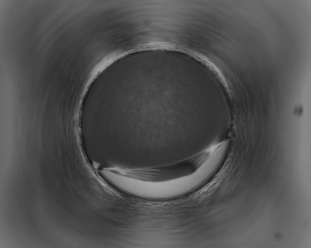 X0000098071373200804251428