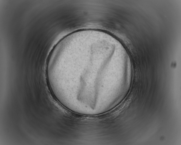 X0000098071374200804251428