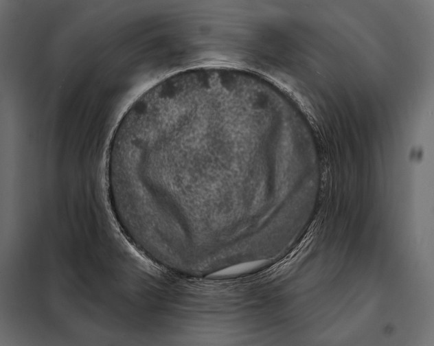 X0000098071375200804251428