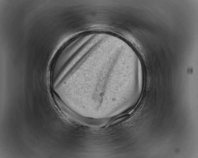 X0000098071376200804251428