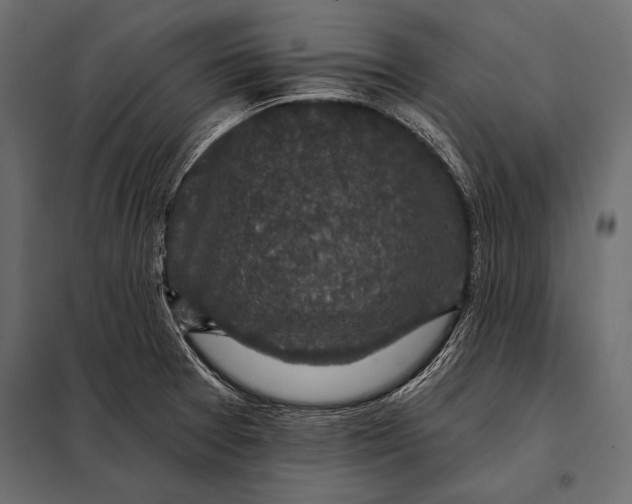 X0000098071377200804251428