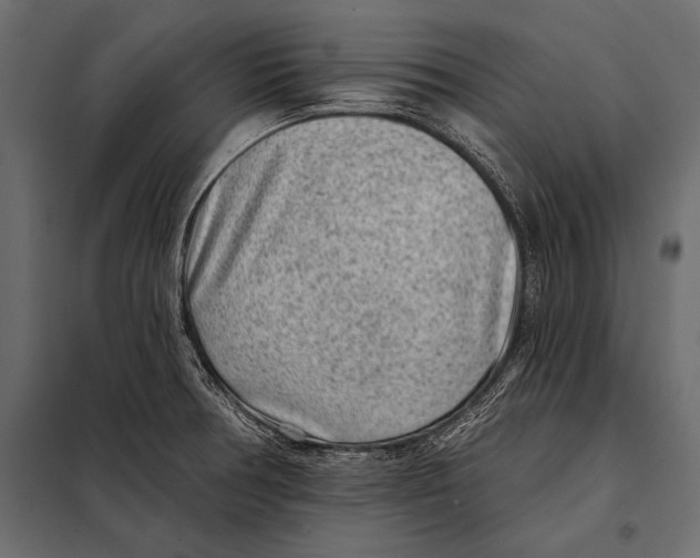 X0000098071378200804251428