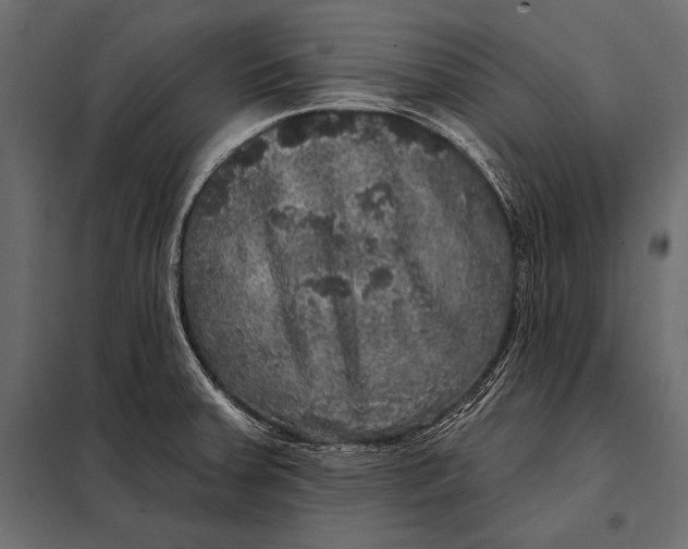 X0000098071379200804251428