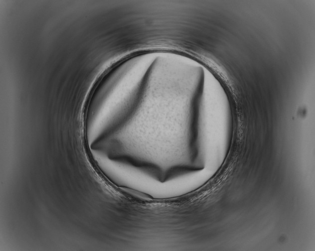 X0000098071380200804251428